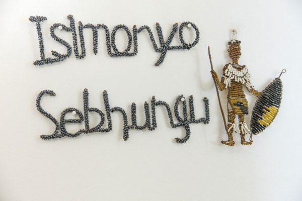 Isimonyo Sebhungu